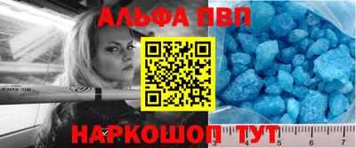 индика Можга