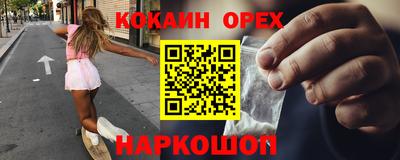 индика Можга