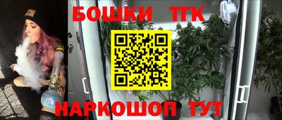 индика Можга