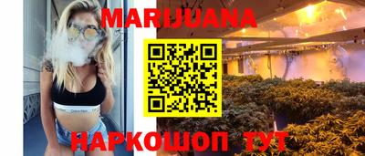 сатива Можайск