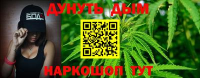 индика Можга