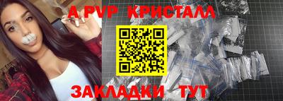 индика Можга