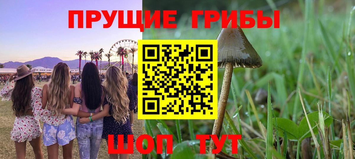 Ханты-Мансийск  Псилоцибиновые грибы MAGIC MUSHROOMS  Вход с VPN  Псилоцибиновые грибы Psilocybe 